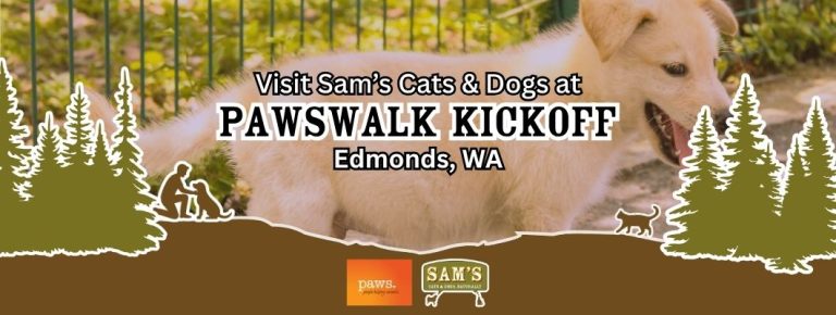 Golden dog at Pawswalk Kickoff event in Edmonds, WA featuring Sam&rsquo;s Cats & Dogs community presence