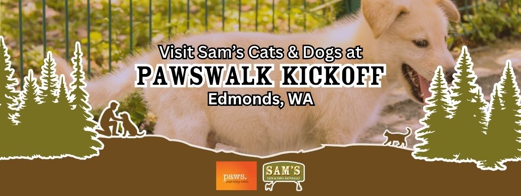 Golden dog at Pawswalk Kickoff event in Edmonds, WA featuring Sam&rsquo;s Cats & Dogs community presence