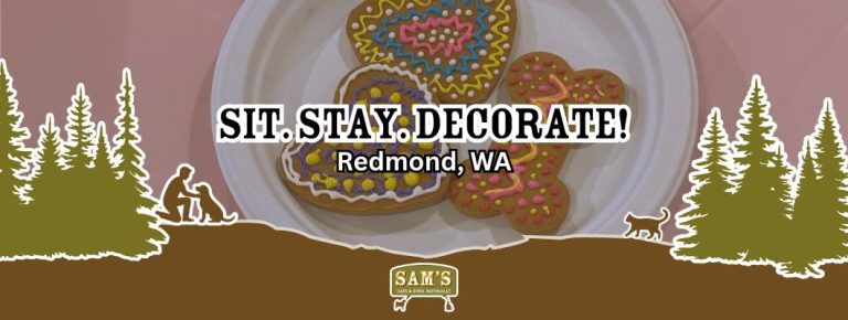 Decorated dog treats on plate at Sit Stay Decorate event in Redmond, WA by Sam&rsquo;s Cats & Dogs interactive pet event