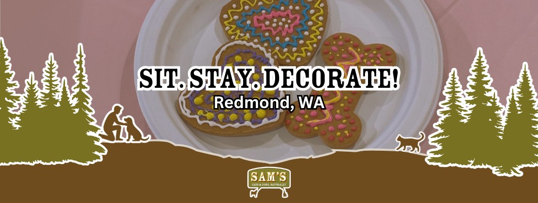 Decorated dog treats on plate at Sit Stay Decorate event in Redmond, WA by Sam&rsquo;s Cats & Dogs interactive pet event