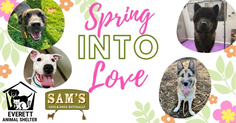 Spring Into Love pet adoption event poster with four dogs, Sam&rsquo;s Cats & Dogs, and Everett Animal Shelter logos on a floral spring design