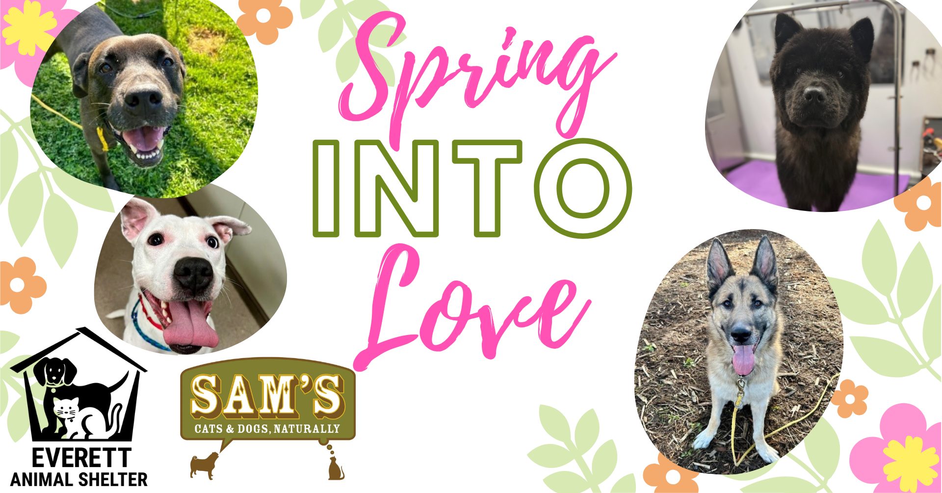 Spring Into Love pet adoption event poster with four dogs, Sam&rsquo;s Cats & Dogs, and Everett Animal Shelter logos on a floral spring design